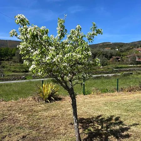 Casa Da Cabracao - Circuito Aldeias De Portugal *